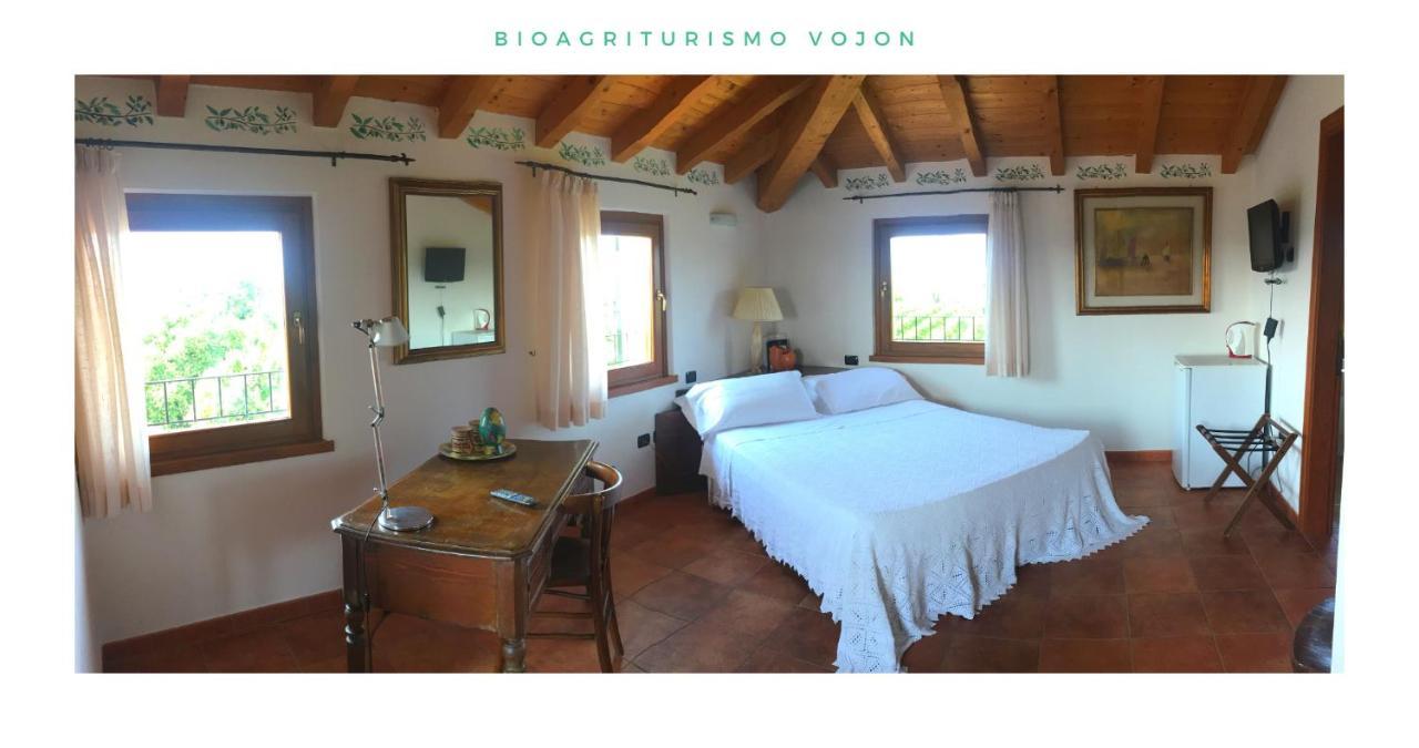 Willa Bio Agriturismo Vojon Ponti sul Mincio Zewnętrze zdjęcie