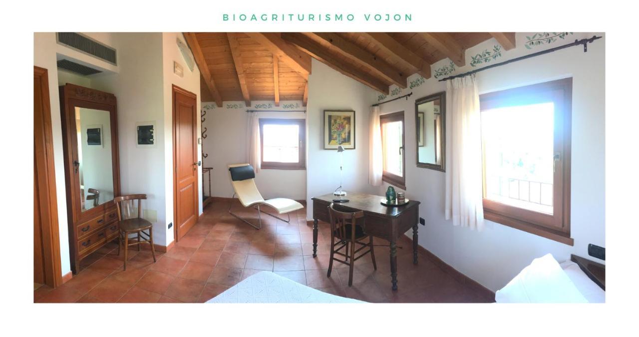 Willa Bio Agriturismo Vojon Ponti sul Mincio Zewnętrze zdjęcie