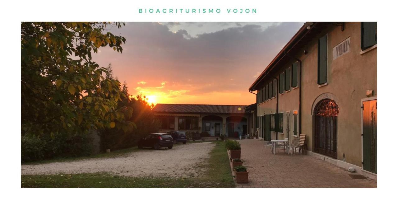 Willa Bio Agriturismo Vojon Ponti sul Mincio Zewnętrze zdjęcie