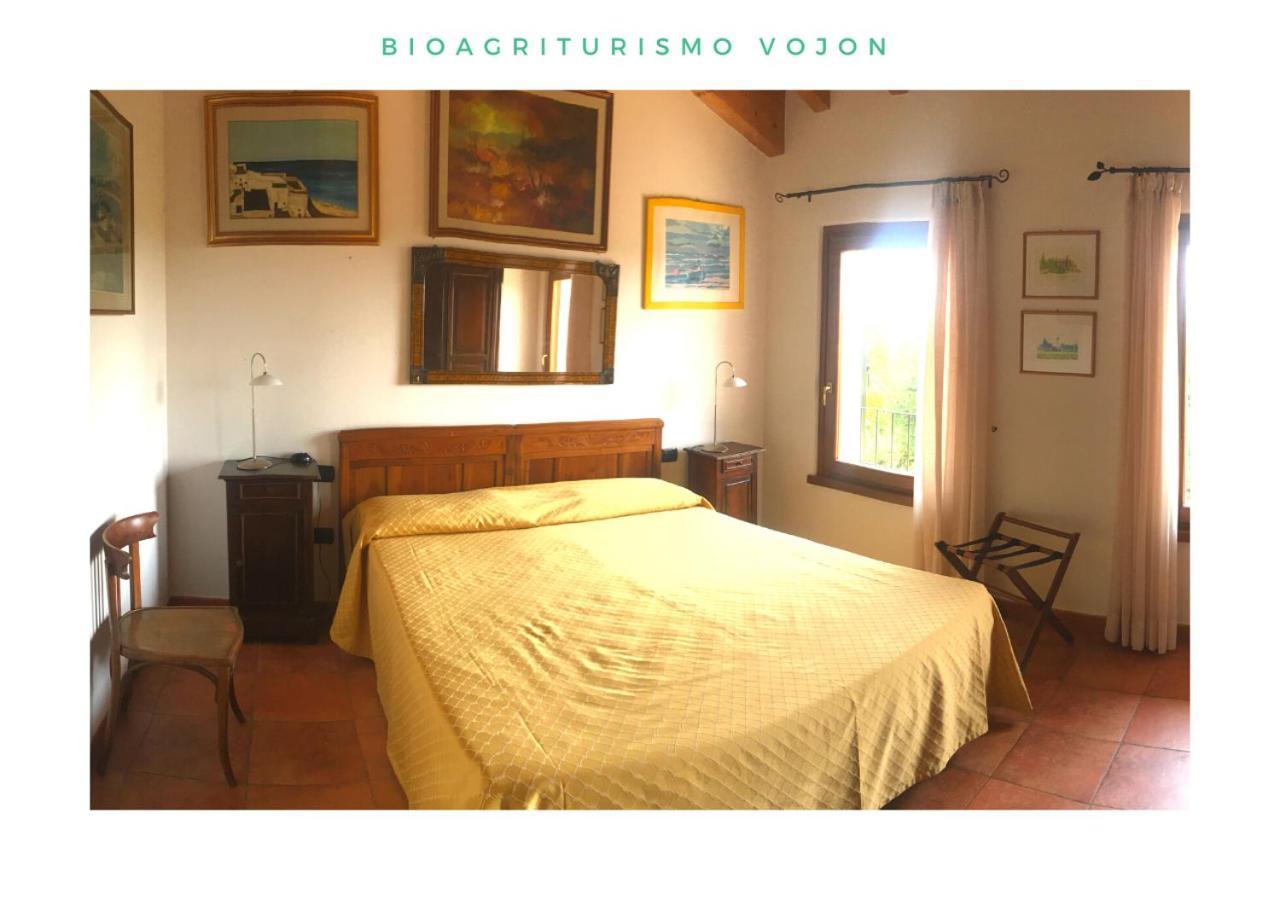 Willa Bio Agriturismo Vojon Ponti sul Mincio Zewnętrze zdjęcie